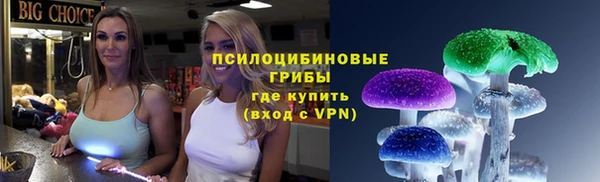 гашик Надым