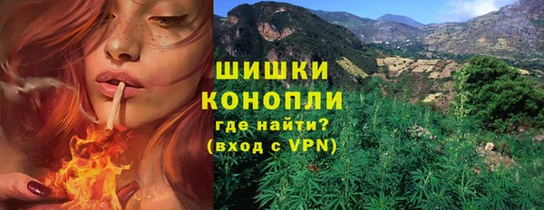 гашик Надым